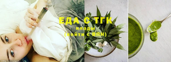 амф Верхний Тагил