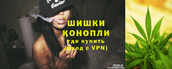 амф Верхний Тагил