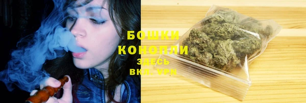амф Верхний Тагил
