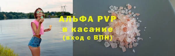 амф Верхний Тагил