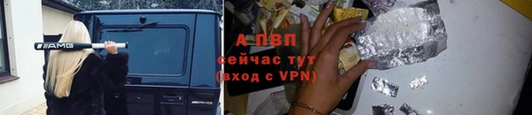 амф Верхний Тагил